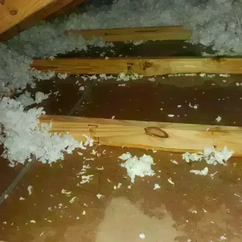 Attic Water Damage in Oyster Creek, TX